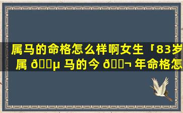 属马的命格怎么样啊女生「83岁属 🌵 马的今 🐬 年命格怎么样」